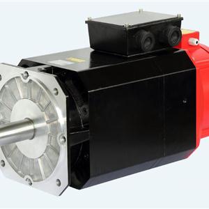 250 series spindle servo motor