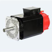 250 Series Spindle Servo Motor